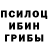 Псилоцибиновые грибы GOLDEN TEACHER Sergio Gonsalez