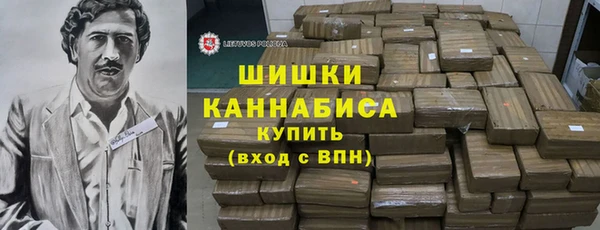 дмт Бородино