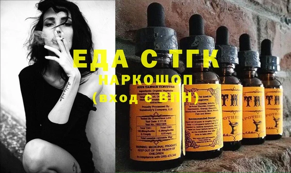 дмт Бородино