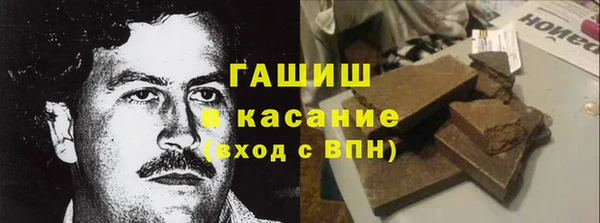 дмт Бородино