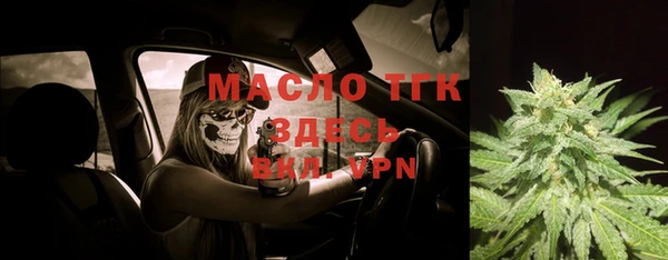 дмт Бородино