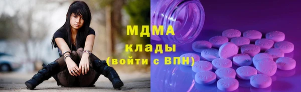 прущие грибы Бронницы