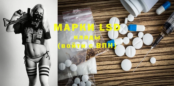 дмт Бородино