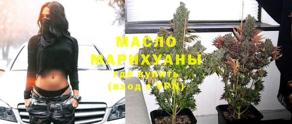 дмт Бородино