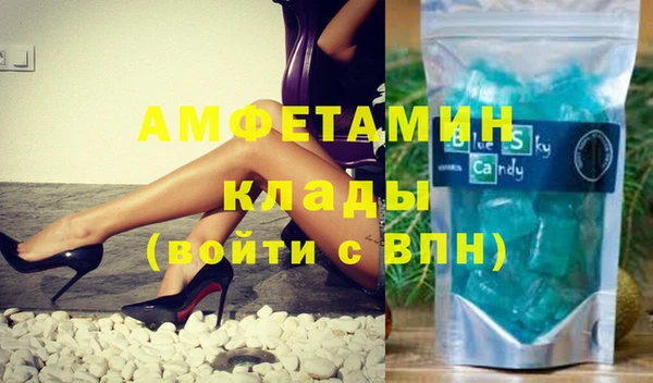 дмт Бородино