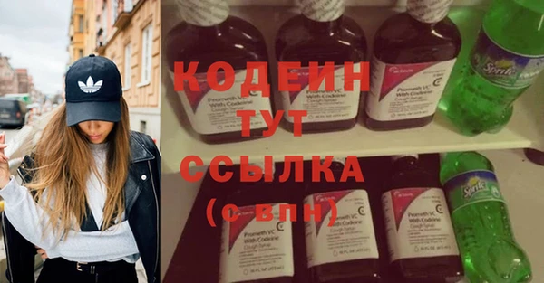 прущие грибы Бронницы
