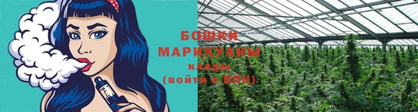 дмт Бородино
