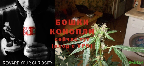 прущие грибы Бронницы
