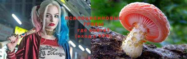 прущие грибы Бронницы
